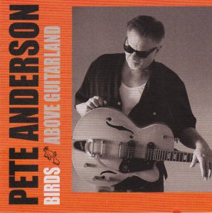 Pete Anderson Birds Above Guitarland (2013)